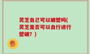 灵芝自己可以破壁吗(灵芝是否可以自行进行壁破？)