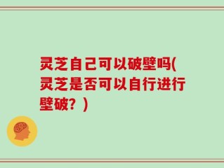 灵芝自己可以破壁吗(灵芝是否可以自行进行壁破？)