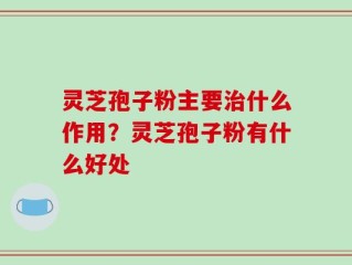 灵芝孢子粉主要治什么作用？灵芝孢子粉有什么好处