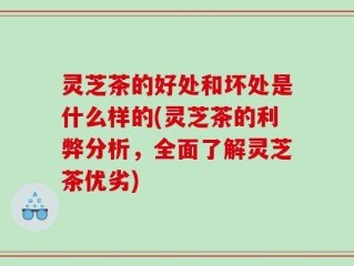 灵芝茶的好处和坏处是什么样的(灵芝茶的利弊分析，全面了解灵芝茶优劣)