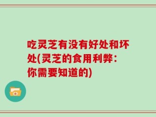 吃灵芝有没有好处和坏处(灵芝的食用利弊：你需要知道的)