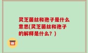 灵芝菌丝和孢子是什么意思(灵芝菌丝和孢子的解释是什么？)