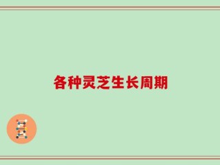 各种灵芝生长周期