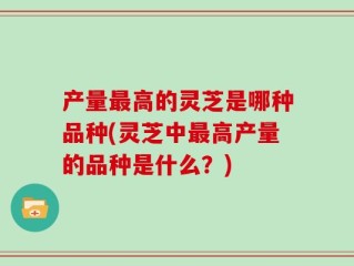 产量最高的灵芝是哪种品种(灵芝中最高产量的品种是什么？)