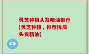 灵芝种植头发精油推荐(灵芝种植，推荐优质头发精油)