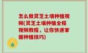 怎么做灵芝土壤种植视频(灵芝土壤种植全程视频教程，让你快速掌握种植技巧)