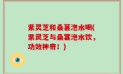 紫灵芝和桑葚泡水喝(紫灵芝与桑葚泡水饮，功效神奇！)
