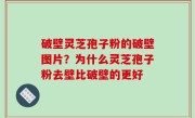 破壁灵芝孢子粉的破壁图片？为什么灵芝孢子粉去壁比破壁的更好