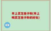 早上灵芝孢子粉(早上喝灵芝孢子粉的好处)