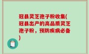冠县灵芝孢子粉收集(冠县出产的高品质灵芝孢子粉，预防疾病必备)
