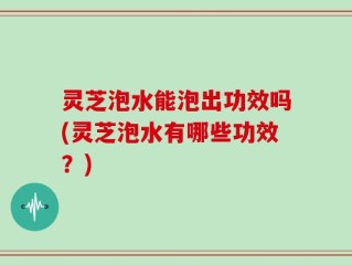 灵芝泡水能泡出功效吗(灵芝泡水有哪些功效？)