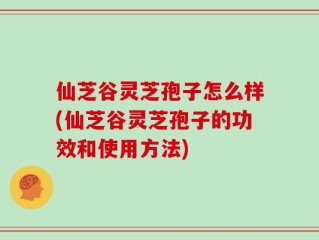 仙芝谷灵芝孢子怎么样(仙芝谷灵芝孢子的功效和使用方法)
