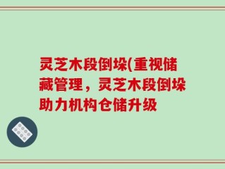 灵芝木段倒垛(重视储藏管理，灵芝木段倒垛助力机构仓储升级