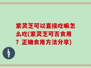 紫灵芝可以直接吃嘛怎么吃(紫灵芝可否食用？正确食用方法分享)