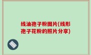 线油孢子粉图片(线形孢子花粉的照片分享)