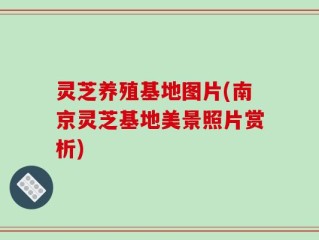 灵芝养殖基地图片(南京灵芝基地美景照片赏析)
