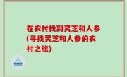 在农村找到灵芝和人参(寻找灵芝和人参的农村之旅)