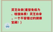 灵芝白拿(重塑免疫力、增强体质！灵芝白拿，一个不容错过的健康宝藏！)