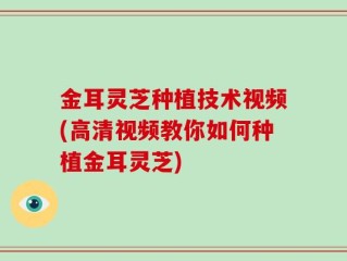 金耳灵芝种植技术视频(高清视频教你如何种植金耳灵芝)