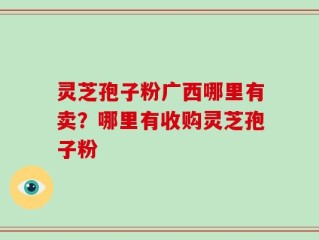 灵芝孢子粉广西哪里有卖？哪里有收购灵芝孢子粉