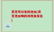 灵芝可以生的泡水(灵芝泡水喝的功效及禁忌)