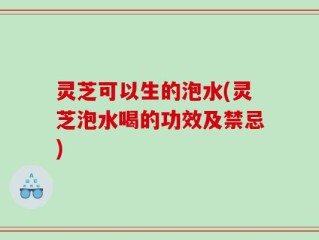 灵芝可以生的泡水(灵芝泡水喝的功效及禁忌)