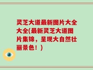 灵芝大道最新图片大全大全(最新灵芝大道图片集锦，呈现大自然壮丽景色！)