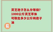 灵芝孢子怎么分等级？1000公斤灵芝萃体可取出多少公斤纯孢子油