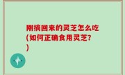 刚摘回来的灵芝怎么吃(如何正确食用灵芝？)