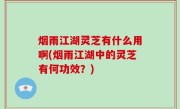 烟雨江湖灵芝有什么用啊(烟雨江湖中的灵芝有何功效？)