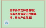 宝丰县灵芝种植基地(宝丰县打造灵芝种植基地，助力产业发展)