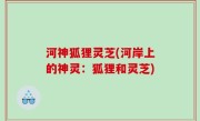 河神狐狸灵芝(河岸上的神灵：狐狸和灵芝)