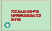 灵芝怎么能长孢子粉(如何获得高质量的灵芝孢子粉)