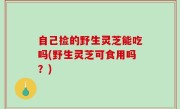 自己捡的野生灵芝能吃吗(野生灵芝可食用吗？)