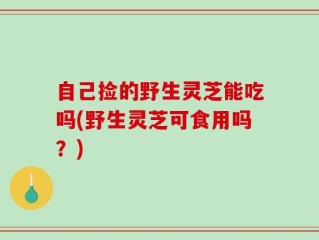 自己捡的野生灵芝能吃吗(野生灵芝可食用吗？)