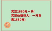 灵芝1680元一只(灵芝价格惊人！一只竟售1680元)