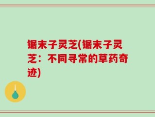 锯末子灵芝(锯末子灵芝：不同寻常的草药奇迹)