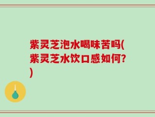 紫灵芝泡水喝味苦吗(紫灵芝水饮口感如何？)
