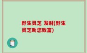 野生灵芝 发财(野生灵芝助您致富)