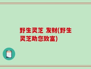 野生灵芝 发财(野生灵芝助您致富)