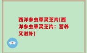 西洋参虫草灵芝片(西洋参虫草灵芝片：营养又滋补)