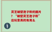 灵芝破壁孢子粉的图片？“破壁灵芝孢子粉”这玩意真的有用么