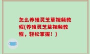怎么养殖灵芝草视频教程(养殖灵芝草视频教程，轻松掌握！)