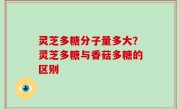 灵芝多糖分子量多大？灵芝多糖与香菇多糖的区别