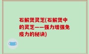 石解煲灵芝(石解煲中的灵芝——强力增强免疫力的秘诀)