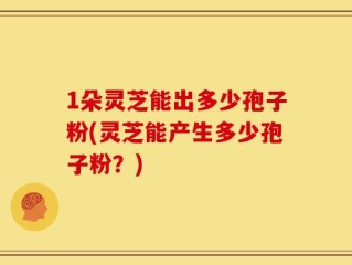 1朵灵芝能出多少孢子粉(灵芝能产生多少孢子粉？)