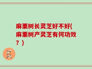 麻栗树长灵芝好不好(麻栗树产灵芝有何功效？)