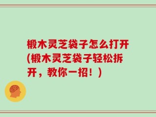 椴木灵芝袋子怎么打开(椴木灵芝袋子轻松拆开，教你一招！)