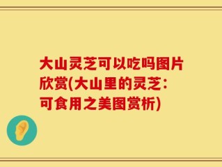 大山灵芝可以吃吗图片欣赏(大山里的灵芝：可食用之美图赏析)