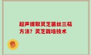 超声提取灵芝菌丝三萜方法？灵芝栽培技术
